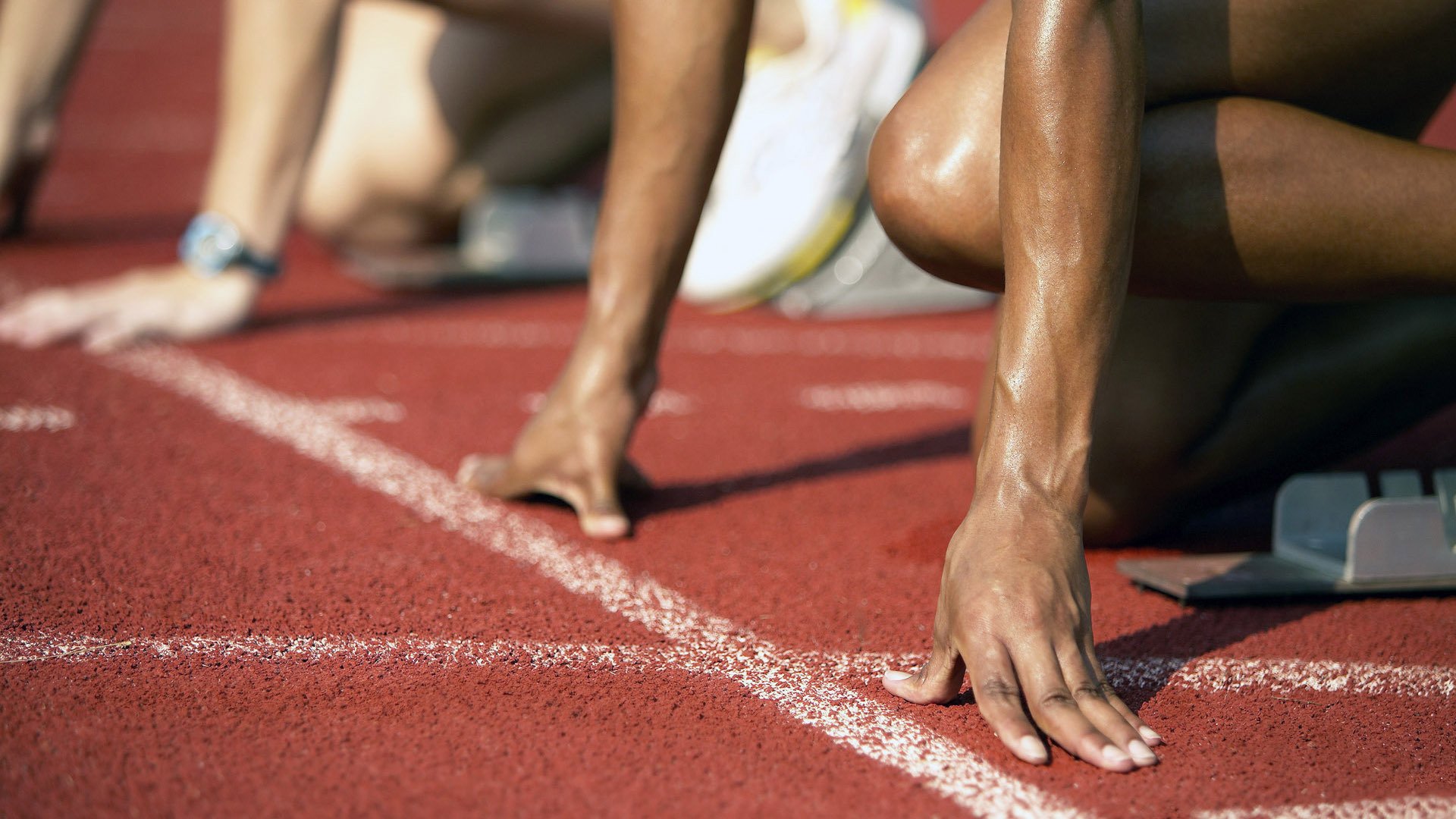 中国游泳队闪耀世锦赛，张雨霏再破纪录，新星崛起未来可期