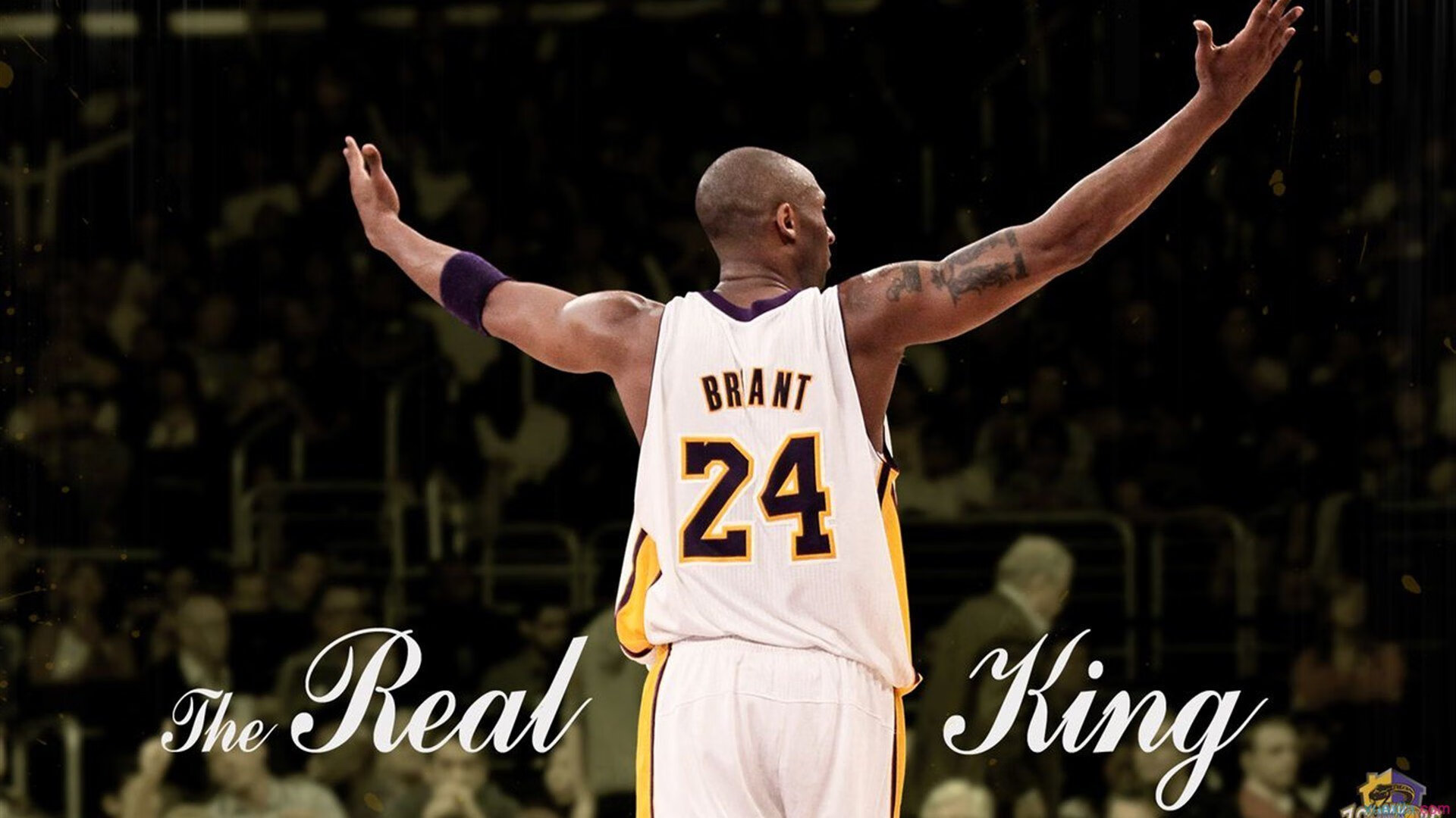 羽生结弦宣布退役转战职业花滑，传奇谢幕，新篇开启