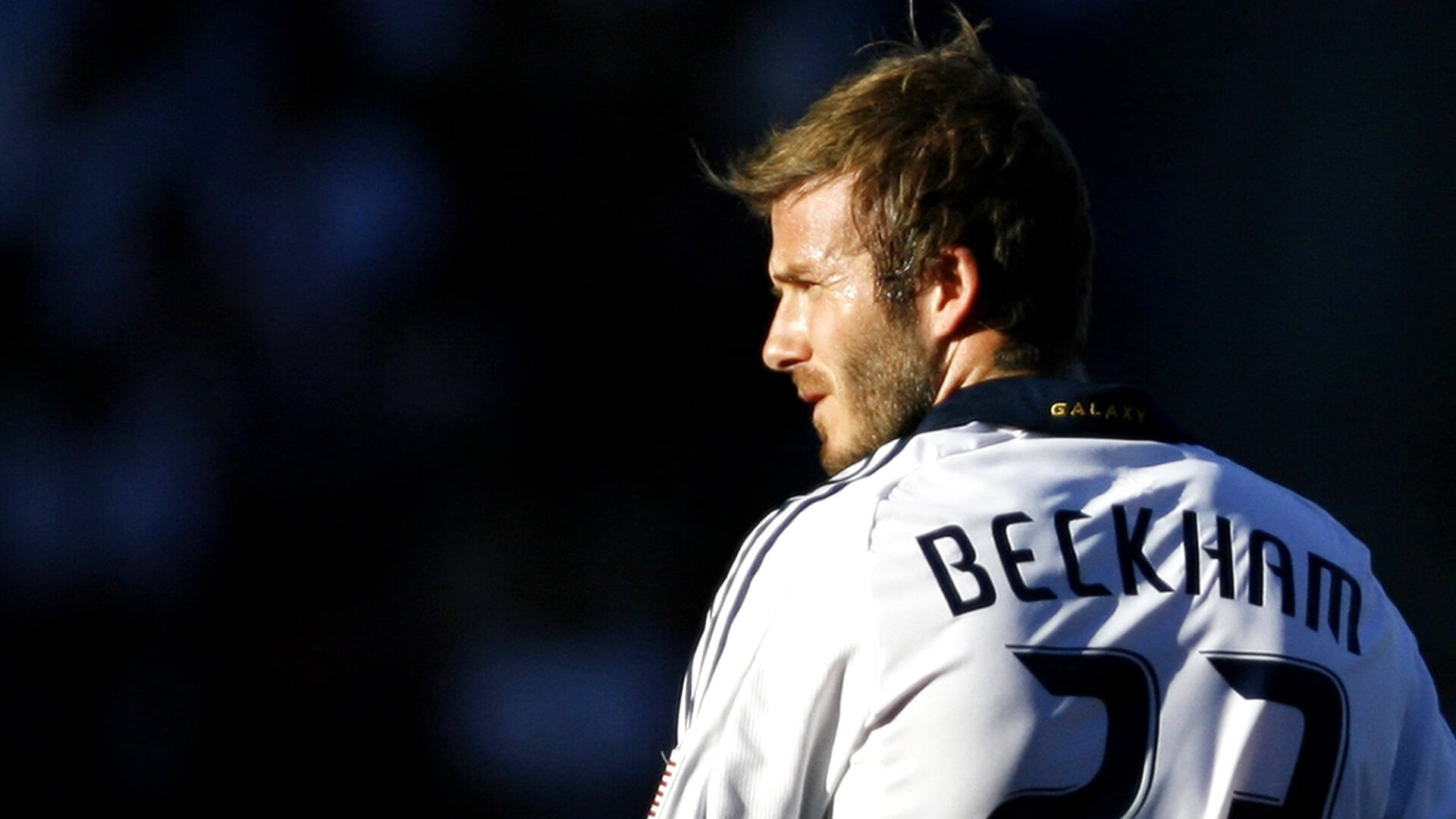 体育慈善盛典圆满落幕 众星携手助力青少年体育梦想